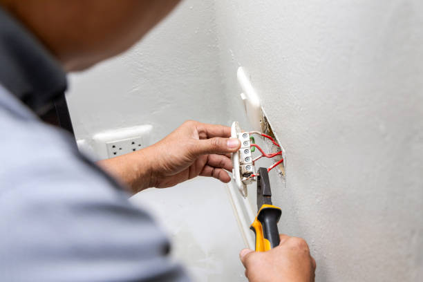 Best Electric Panel Repair  in West Point, KY